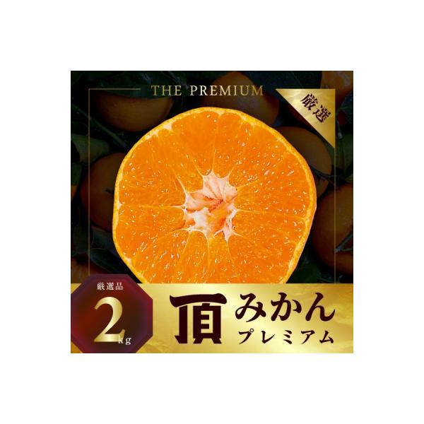 三代目の頂みかんTHEプレミアム【小玉サイズ】2kg【A31-51】