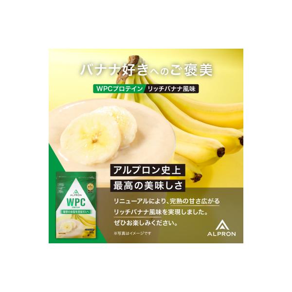 ALPRON WPC プロテイン リッチバナナ風味 900g×1個