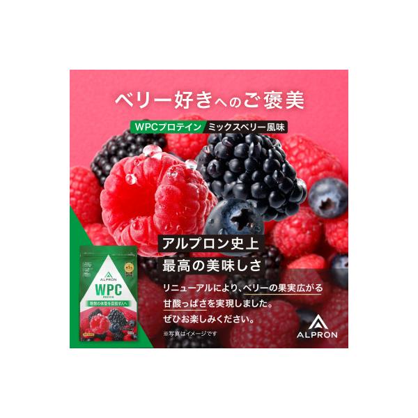 ALPRON WPC プロテイン ミックスベリー風味 900g×1個