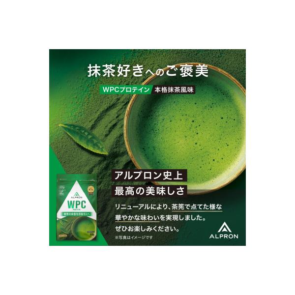 ALPRON WPC プロテイン 本格抹茶風味 900g×1個