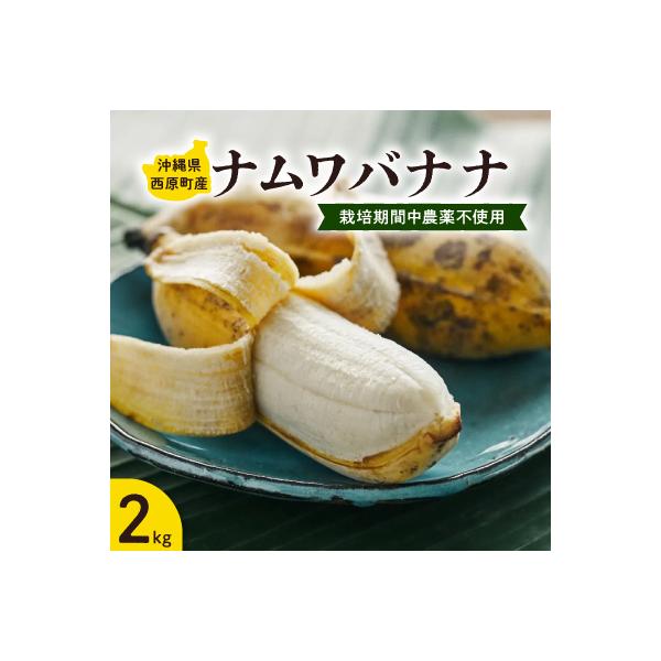 西原町の栽培期間中農薬不使用のナムワバナナ2kg