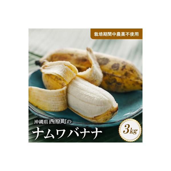 西原町の栽培期間中農薬不使用のナムワバナナ3kg