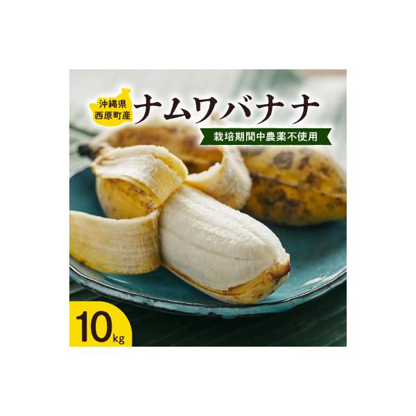 西原町の栽培期間中農薬不使用のナムワバナナ10kg