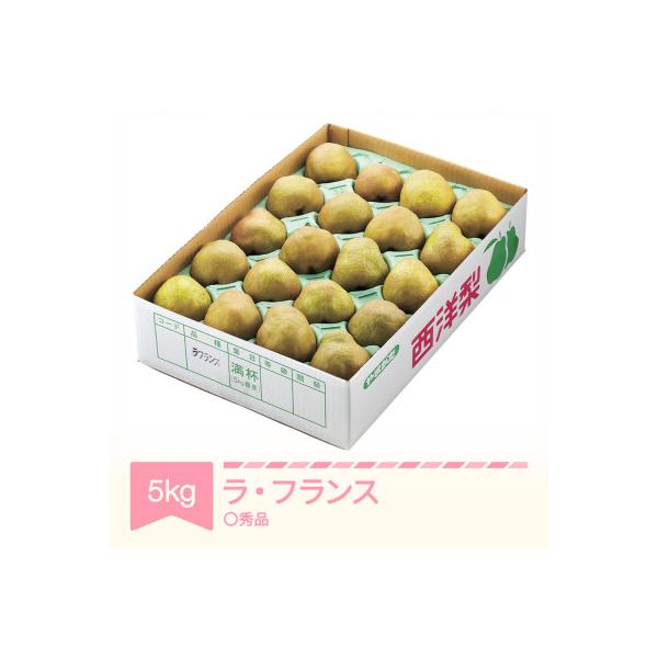 ラ・フランス 洋梨 ◯秀品 約5kg 2026年産 令和8年産