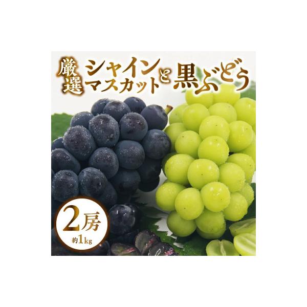 ■お礼品詳細　・配送種別：通常　・提供元：アペックスフルーツ（株）（甲州市）■お申し込み・配送・その他　・発送時期：2026/9/1〜2026/10/31(お届け時間帯指定可)　・申込受付期間：〜2026/10/10　・配達外のエリア：離島...