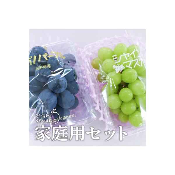 ナガノパープル&シャインマスカット家庭用セット(訳あり品) 約350g×2パック