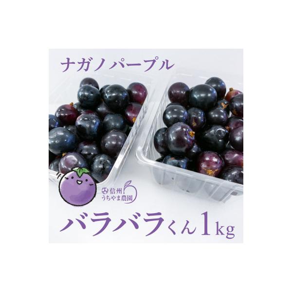 (訳あり)信州うちやま農園のナガノパープル(バラバラ君)　1kg　●2026年発送●