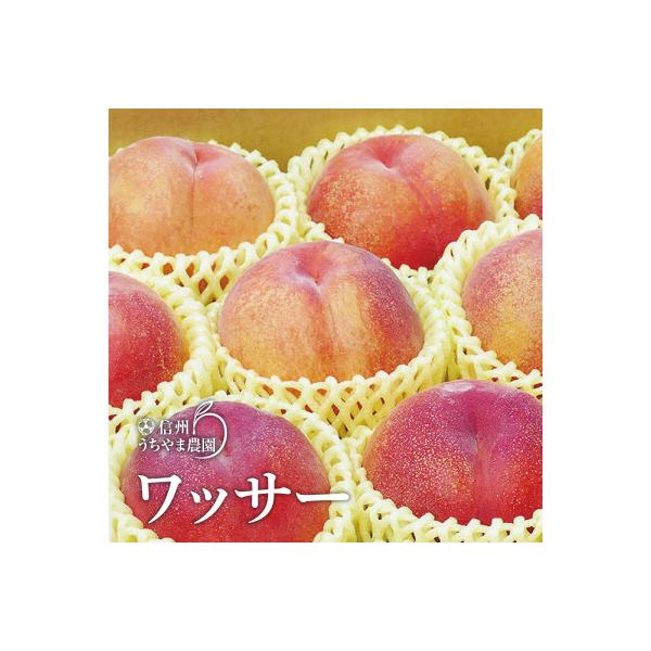 信州うちやま農園の「ワッサー」約2kg(6～8玉入り)　桃+ネクタリンの掛け合わせ