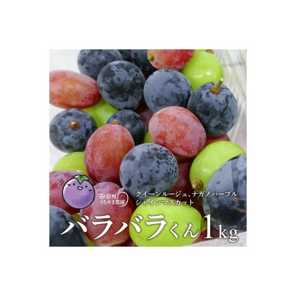 【訳あり品】バラバラくん3色1kg(ナガノパープル・クイーンルージュ(R) ・シャインマスカット)