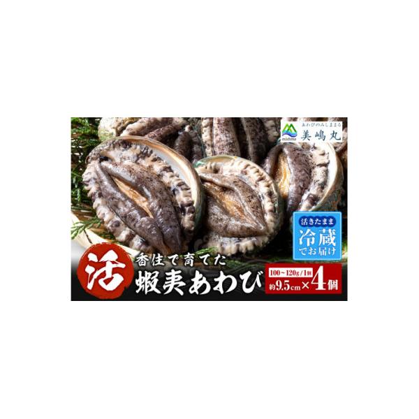 活あわび 養殖 9.5cm×4枚 400g～480g　20-03