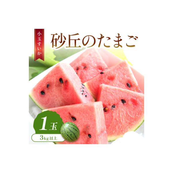 ■お礼品詳細　・配送種別：通常　・提供元：京都農業協同組合（京丹後市）■お申し込み・配送・その他　・発送時期：2026-06-20〜2026-07-25(お届け時間帯指定可)　・申込受付期間：〜2026-06-30　・配達外のエリア：離島、...