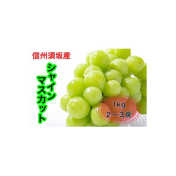 2525ページです　信州産シャインマスカット3.6キロ 信州シャインマスカットプチシュー（信州長野のお土産 お菓子