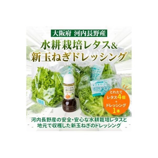 ■お礼品詳細　・配送種別：冷蔵便　・提供元：キタバ薬局河内長野店■お申し込み・配送・その他　・発送時期：2026-01-08より順次発送 ※生産・天候・交通等の事情により遅れる場合があります。(お届け時間帯指定可)　・申込受付期間：通年　・...