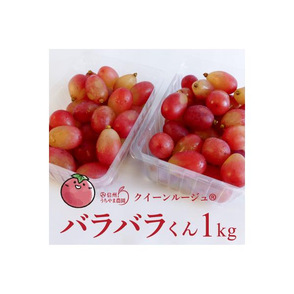 【訳あり】クイーンルージュ　バラバラくん　1kg