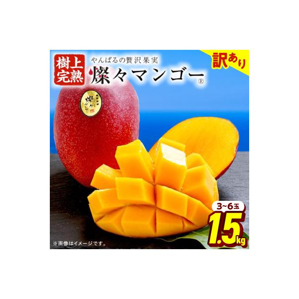 【2026年7月から順次発送・訳あり】燦々マンゴー1.5kg(3～6玉)
