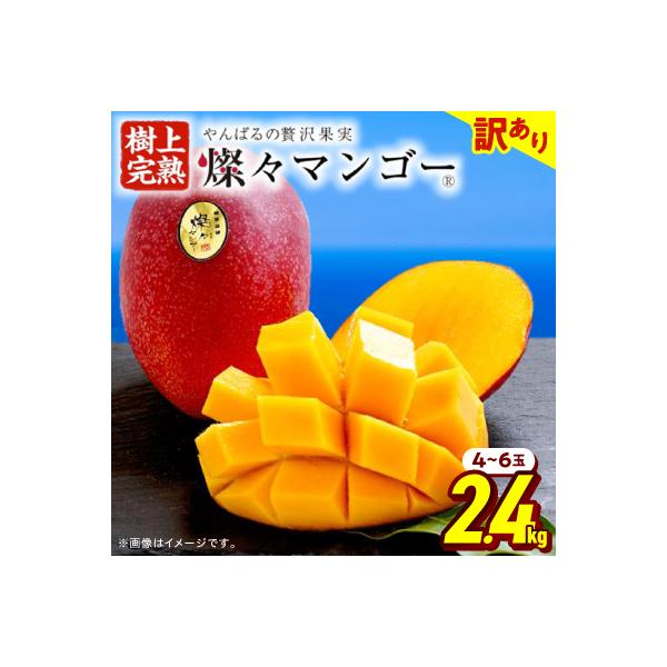 【2026年7月から順次発送・訳あり】燦々マンゴー2.4kg(4～6玉)