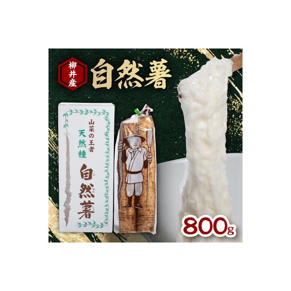 ■お礼品詳細　・配送種別：冷蔵便　・提供元：株式会社ハータンドブレイン　柳井支店■お申し込み・配送・その他　・発送時期：2026-02-02より順次発送 ※生産・天候・交通等の事情により遅れる場合があります。(お届け時間帯指定可)　・申込受...