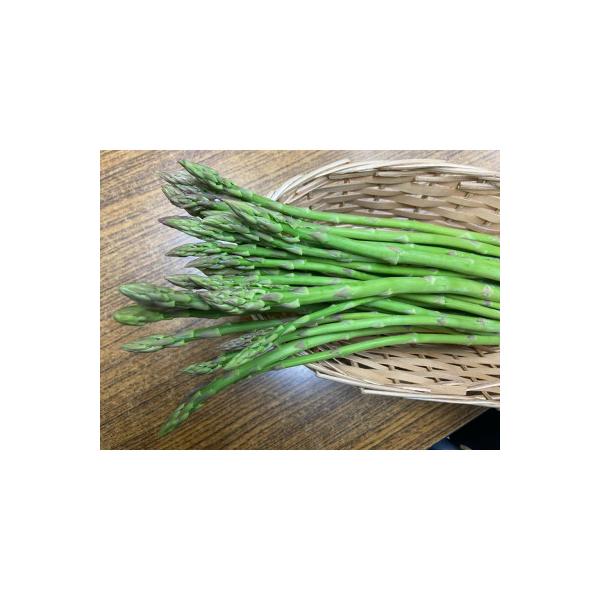 ■お礼品詳細　・配送種別：冷蔵便　・提供元：株式会社五色青果（東かがわ市）■お申し込み・配送・その他　・発送時期：2026-03-19〜2026-10-17　・申込受付期間：〜2026-09-20　・配達外のエリア：離島、北海道、沖縄県　・...