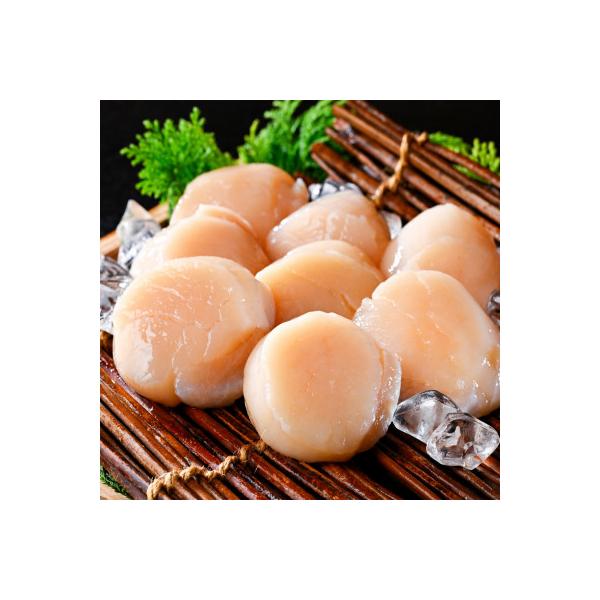 個包装 ホタテ貝柱500g ジャンボ 6～8玉 贈答にもおススメな北海道産野付産帆立