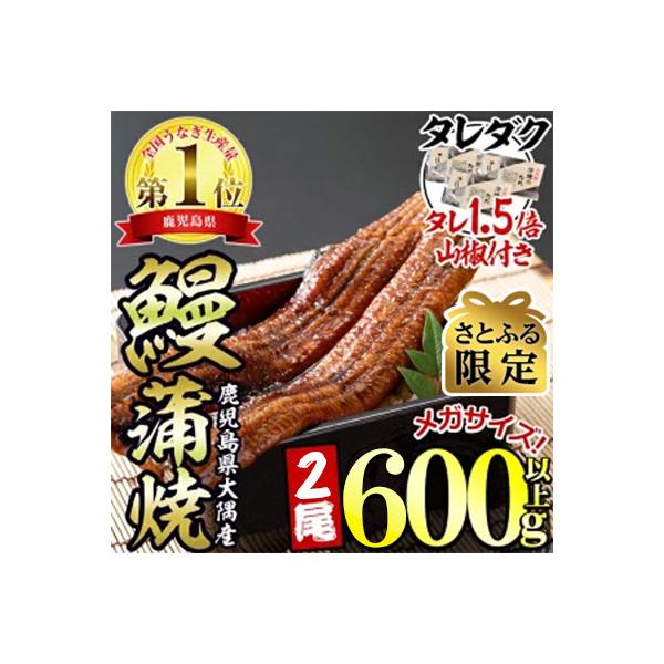 【さとふる限定】東串良町のうなぎ蒲焼(無頭)【メガサイズ】2尾・約600g・タレ、山椒×6個