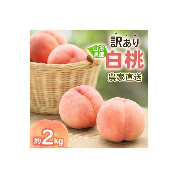 令和9年産　先行受付　農家直送「白桃」約2キロ　訳あり　ご家庭用【離島配送不可】