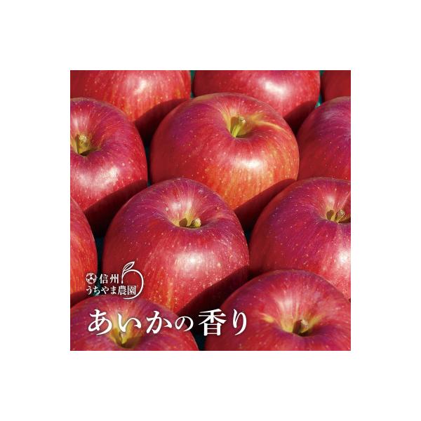 高貴な芳香、爽やかな甘さ『あいかの香り』約3kg(約7～9個)信州りんご