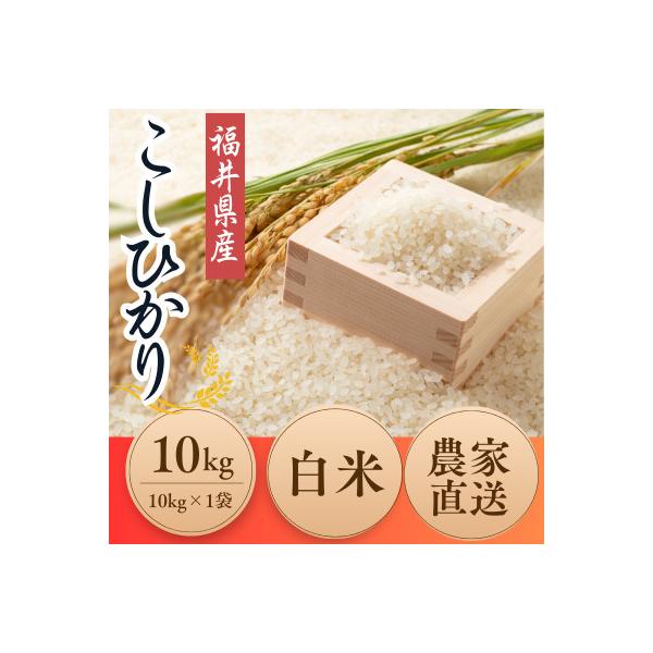 令和8年産【新米】福井県産こしひかり　白米10kg