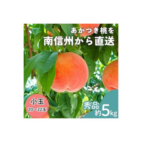 【南信州産】あかつき桃　秀品　小玉20～22玉　約5kg　2026年7月下旬～順次発送
