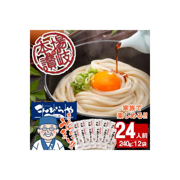 ふるさと納税【讃岐うどんのこんぴらや】本場讃岐半生うどん『讃岐麺維新』24食セット(2人前12袋)