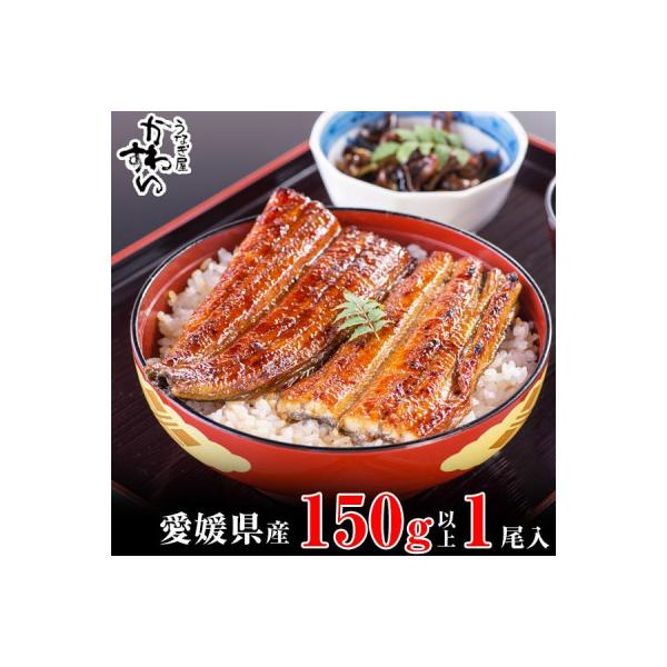 愛媛県松山産　大サイズの国産うなぎ蒲焼150g1本(150g～169g)