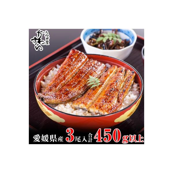 愛媛県松山産　大サイズの国産うなぎ3本(450g~507g)