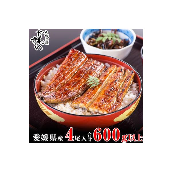 愛媛県松山産　大サイズの国産うなぎ蒲焼150g4本セット(600g~676g)