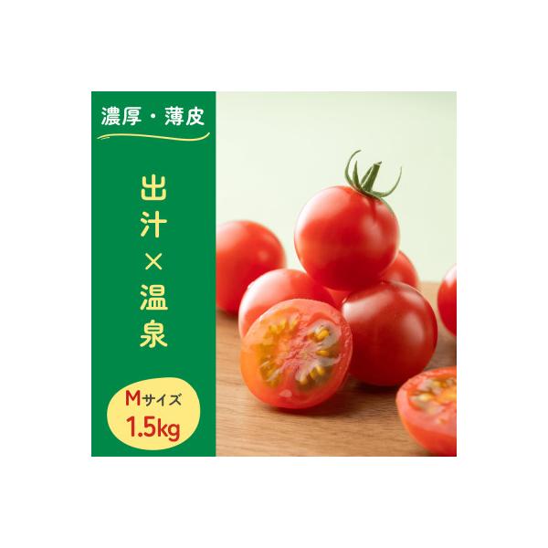 ■お礼品詳細　・配送種別：通常　・提供元：渥美半島とまとランド■お申し込み・配送・その他　・発送時期：2025-12-01〜2026-05-31(お届け時間帯指定可)　・申込受付期間：2025-06-01〜2026-04-30　・配達外のエ...