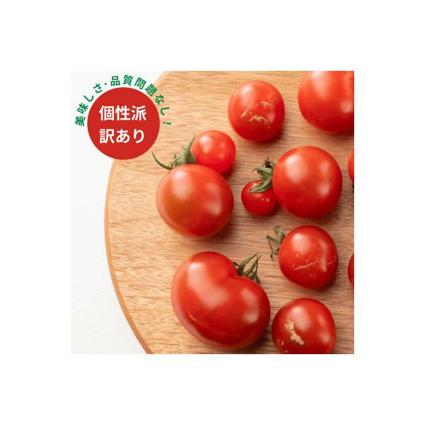 ■お礼品詳細　・配送種別：通常　・提供元：渥美半島とまとランド■お申し込み・配送・その他　・発送時期：2025-12-01〜2026-05-31(お届け時間帯指定可)　・申込受付期間：2025-06-01〜2026-04-30　・配達外のエ...