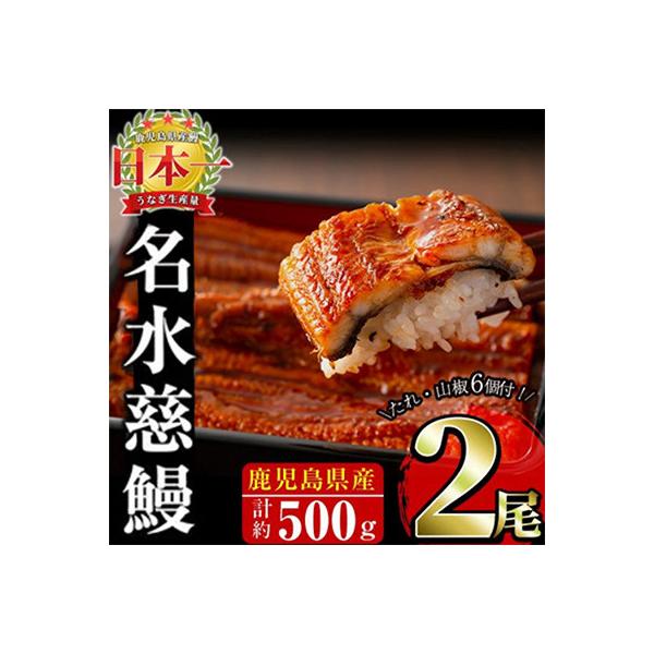 鹿児島県産うなぎ蒲焼 名水慈鰻 2尾(1尾約236~270g)《計約500g》