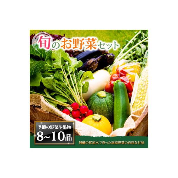 季節のお野菜セットL 旬のお野菜の中から8～10品を厳選してお届け