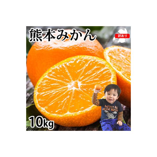訳あり 熊本みかん 計10kg【2026年10月上旬から2027年3月下旬発送予定】(熊本市)