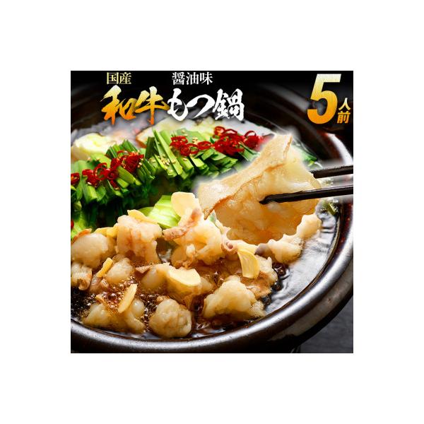 訳あり もつ鍋 醤油味 5人前(田川市)