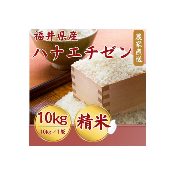 【新米】令和8年産福井県産ハナエチゼン10kg・白米