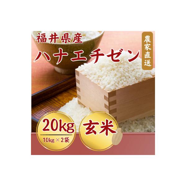 【新米】令和8年産ハナエチゼン　玄米　20kg
