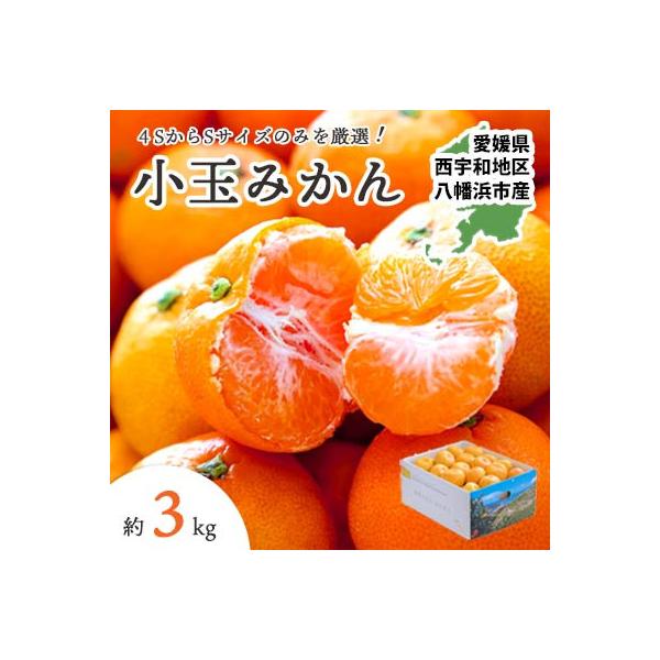 小さいみかんを厳選!愛媛みかん小玉3kg【訳あり】【A25-218】