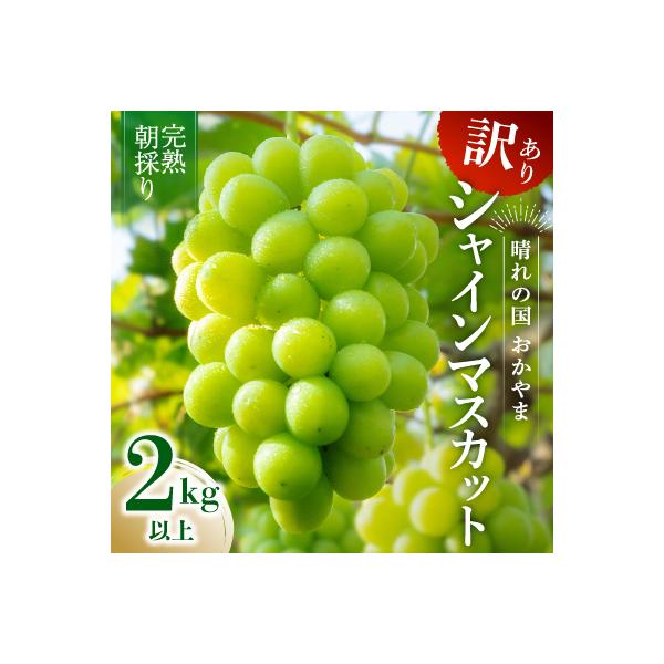 2026年発送【完熟朝採り】訳あり シャインマスカット 2.0kg以上