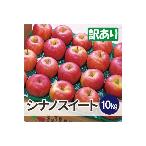 【26年11月から順次発送】青森 りんご 平均糖度13度以上! シナノスイート 約10kg 訳あり