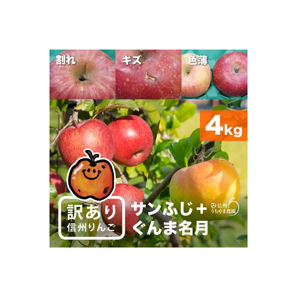 味が一番!★訳ありサンふじ&訳ありぐんま名月★4kg　信州りんご詰合わせ(食べ比べセット)