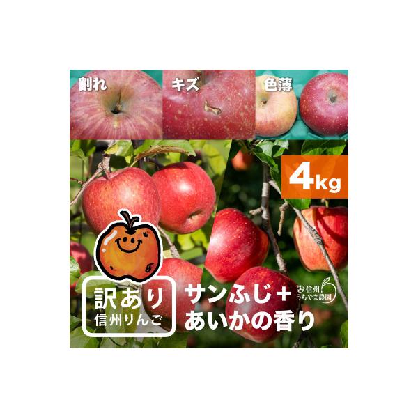 味が一番!信州りんご★サンふじ&あいかの香り★ 計4kg　訳ありりんご詰合わせ(食べ比べセット)