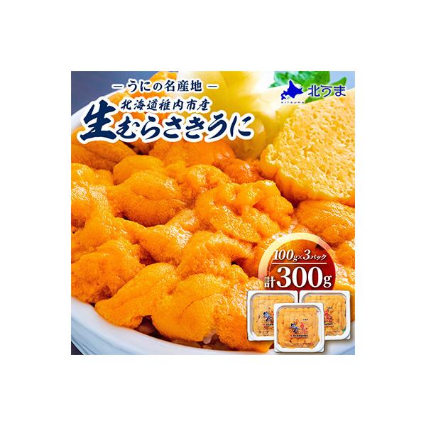 令和8年発送 先行受付【うにの名産地稚内市】最北端の生むらさきうに(100g×3パック)