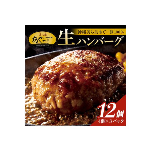 【沖縄高級ブランド豚】美ら島あぐー ハンバーグ　1.44kg(120g×12個)