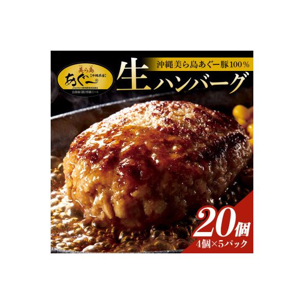 【沖縄高級ブランド豚】美ら島あぐー ハンバーグ　2.4kg(120g×20個)