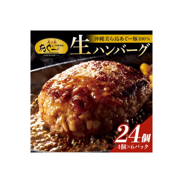 【沖縄高級ブランド豚】美ら島あぐー ハンバーグ　2.88kg(120g×24個)