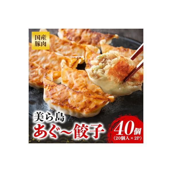 沖縄高級ブランド豚 濃厚な肉汁が溢れる!美ら島あぐー餃子 20個入(400g)×2パック 合計40個